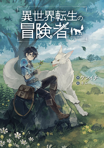 The Reincarnated Adventurer cover